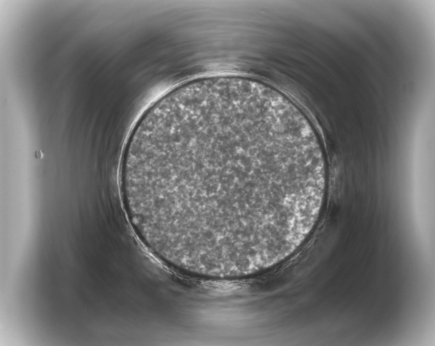 X0000103961197200810031157