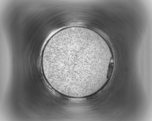 X0000103961200200810031157