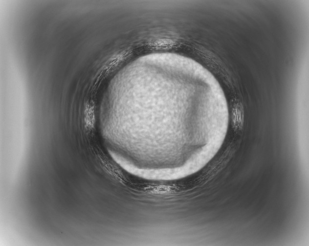 X0000103961204200810031157
