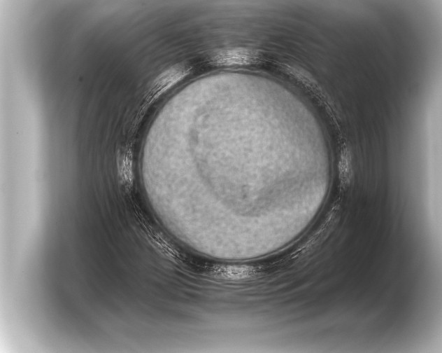 X0000103961209200810031157