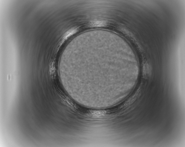 X0000103961210200810031157