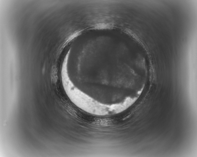 X0000103961213200810031157