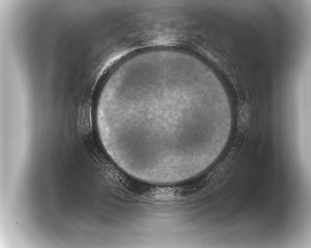 X0000103961214200810031157