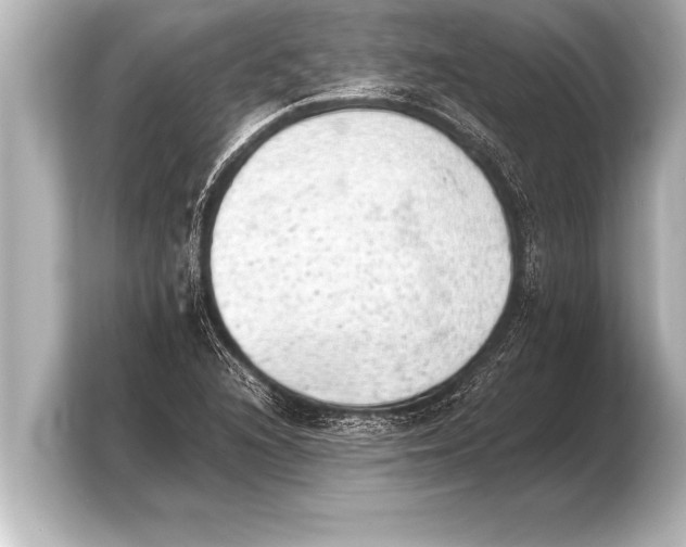 X0000103961216200810031157