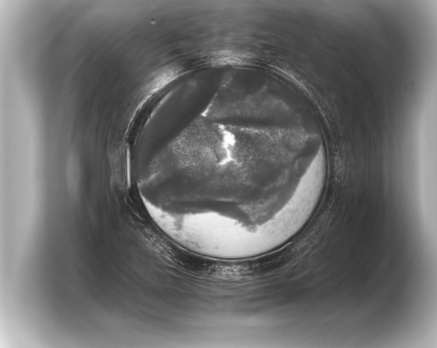 X0000103961219200810031157