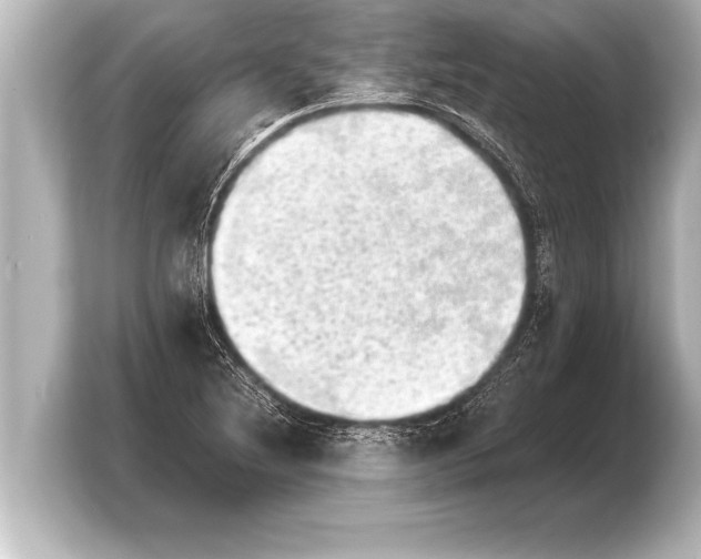 X0000103961220200810031157