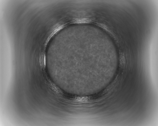 X0000103961221200810031157