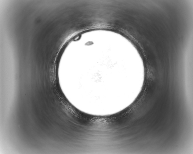 X0000103961222200810031157