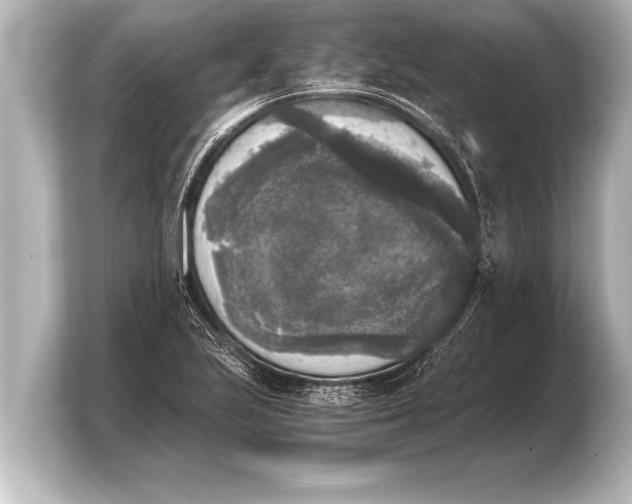 X0000103961223200810031157