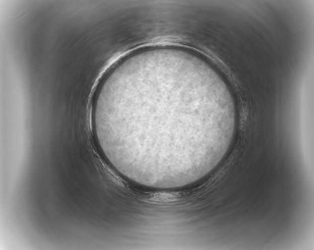 X0000103961224200810031157