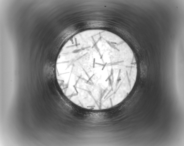 X0000103961225200810031157