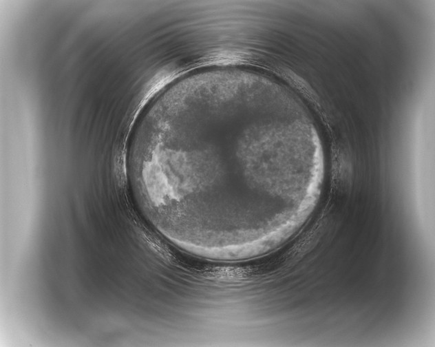 X0000103961226200810031157