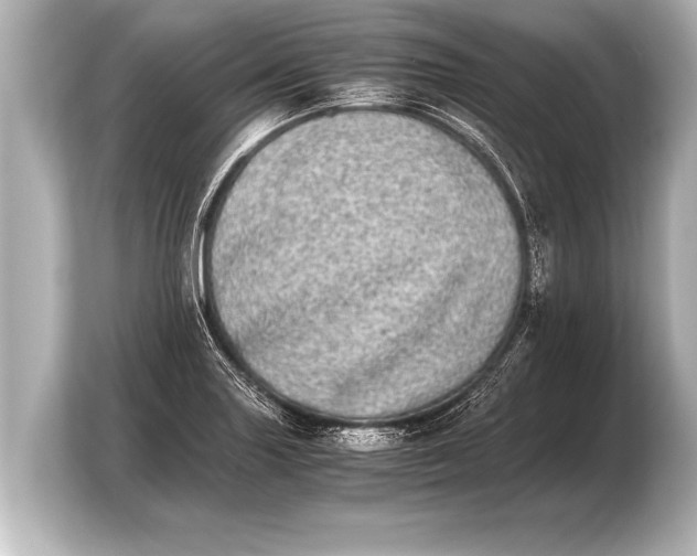 X0000103961227200810031157