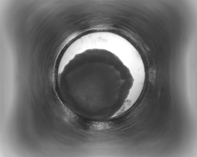 X0000103961229200810031157