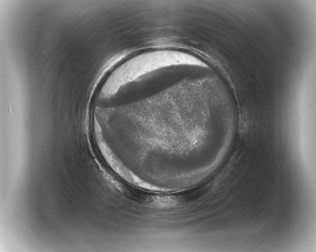 X0000103961231200810031157