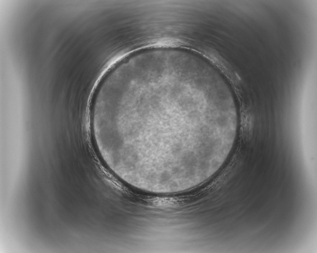 X0000103961232200810031157