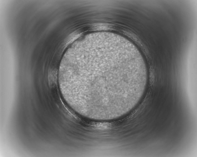 X0000103961233200810031157