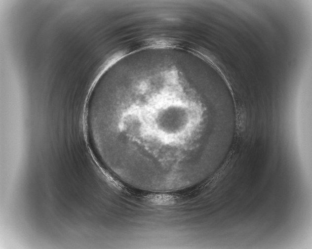 X0000103961235200810031157