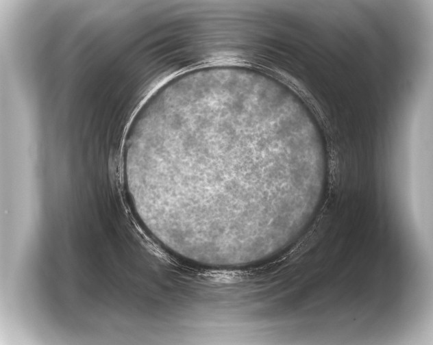 X0000103961236200810031157