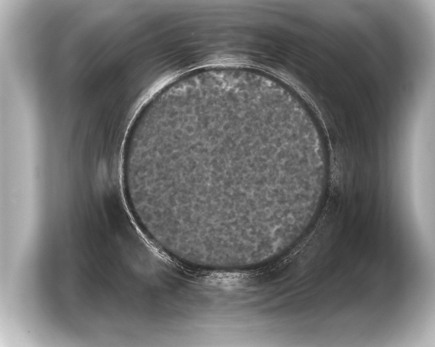 X0000103961237200810031157