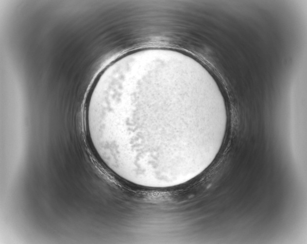 X0000103961238200810031157