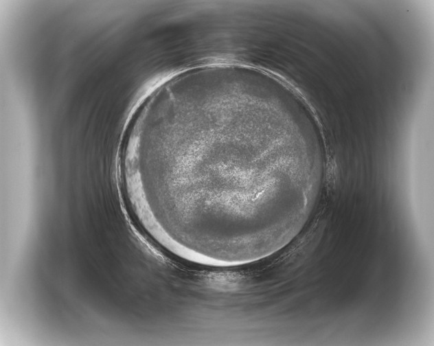 X0000103961239200810031157