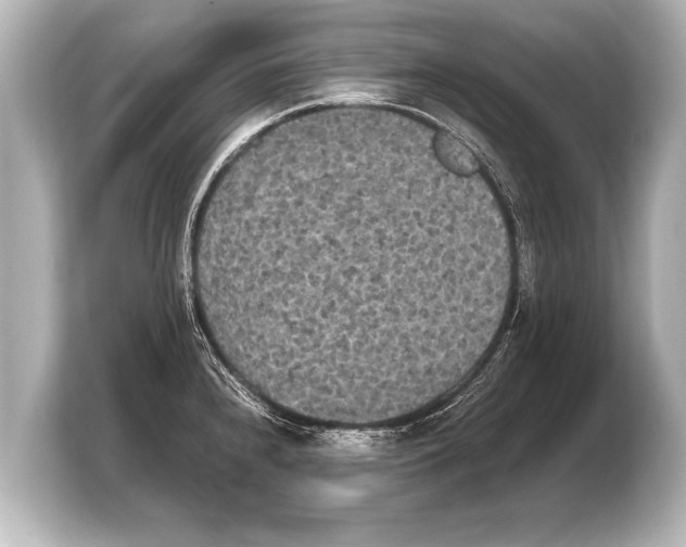X0000103961240200810031157