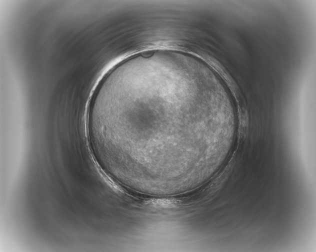 X0000103961246200810031157
