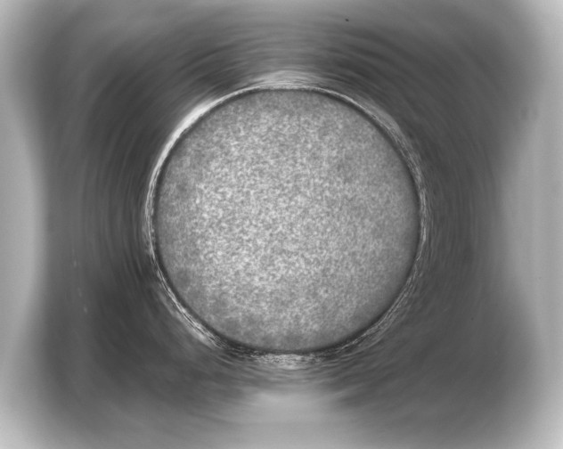 X0000103961248200810031157