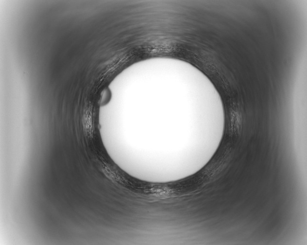 X0000103961250200810031157