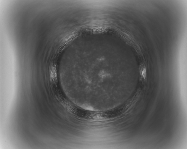 X0000103961252200810031157