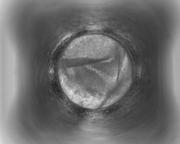 X0000103961254200810031157