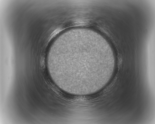 X0000103961259200810031157