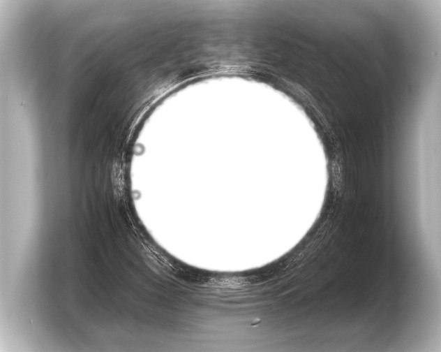 X0000103961260200810031157
