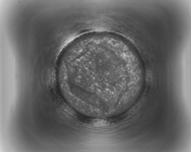 X0000103961263200810031157