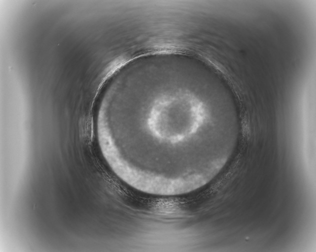 X0000103961267200810031157