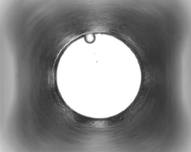 X0000103961268200810031157