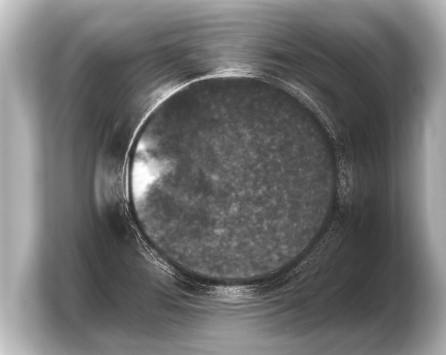 X0000103961276200810031156