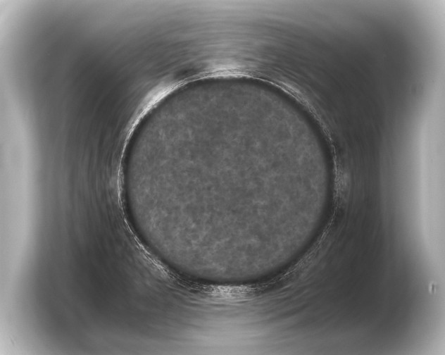 X0000103961277200810031156