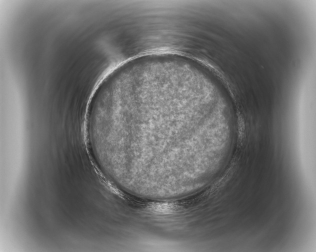 X0000103961278200810031156