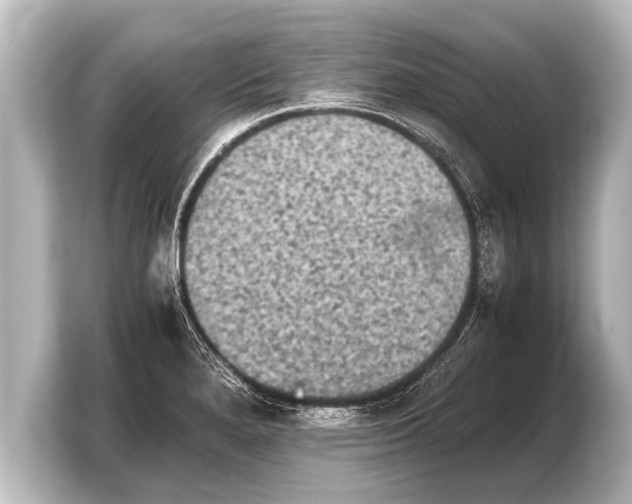 X0000103961280200810031156