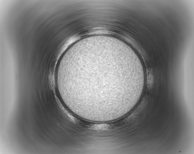 X0000103961282200810031156