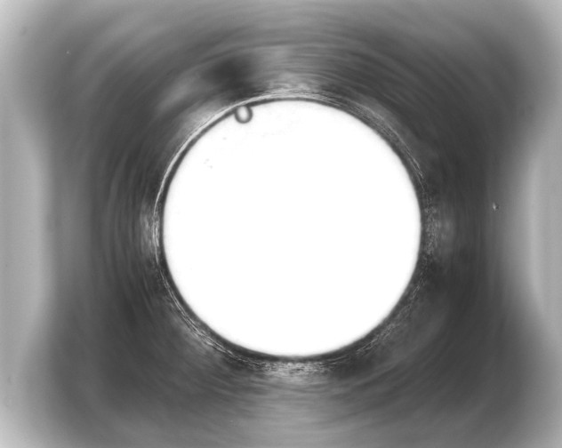 X0000103961284200810031156