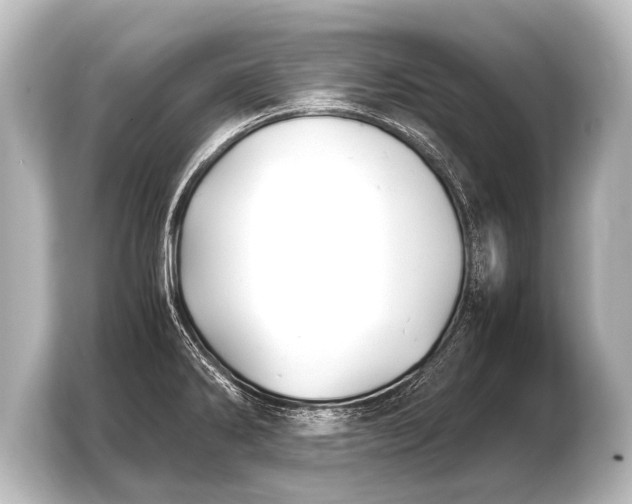 X0000103961286200810031156