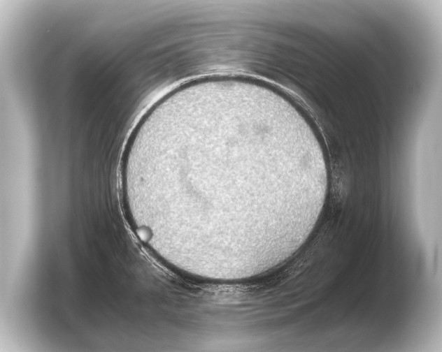 X0000103961287200810031156