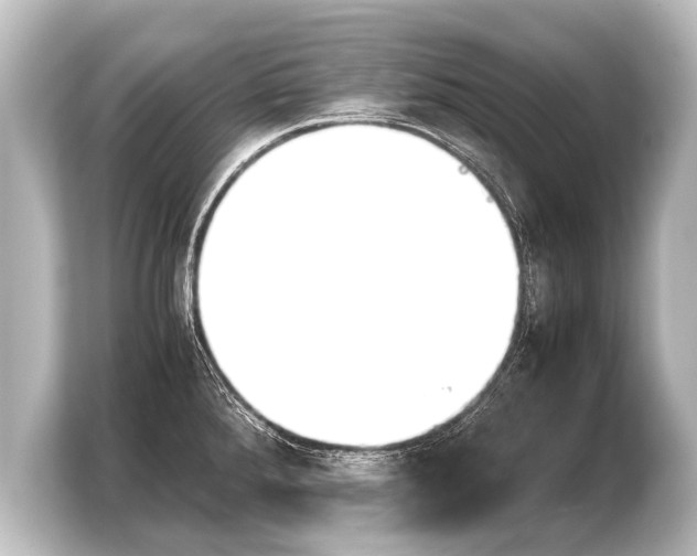 X0000103961288200810031156