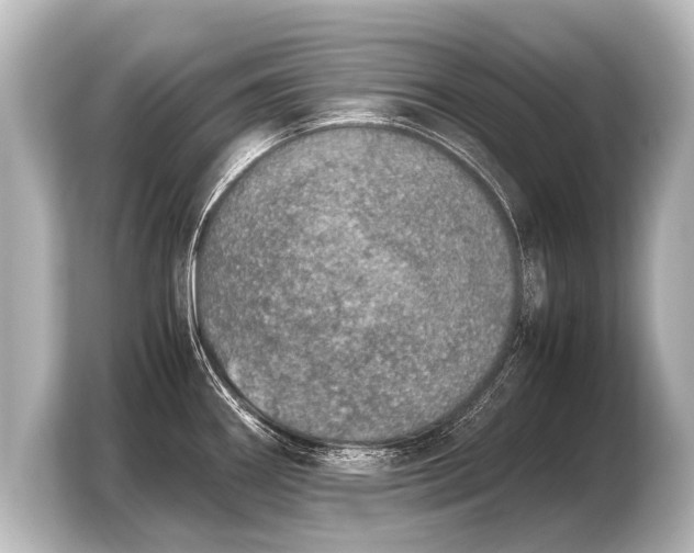 X0000103961290200810031156
