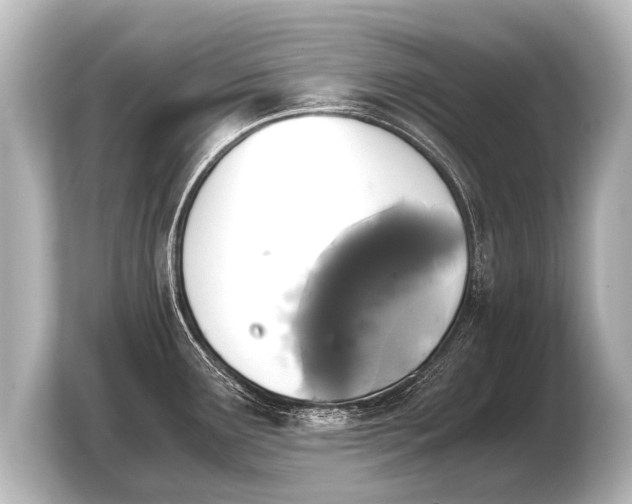 X0000103961291200810031156