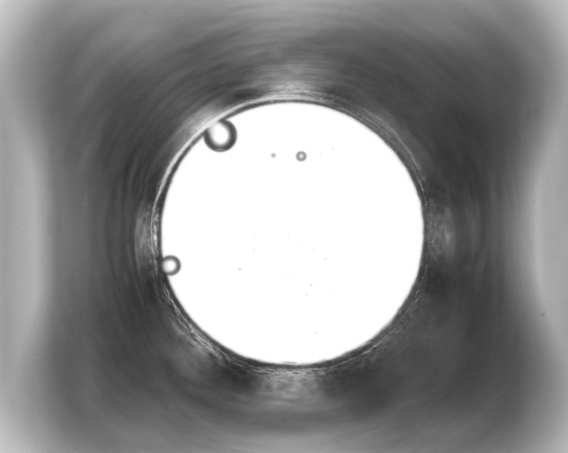 X0000103961292200810031156