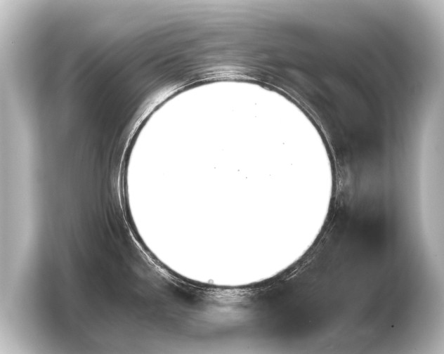 X0000103961293200810031156